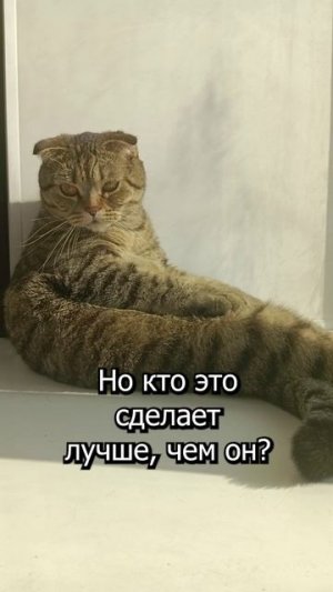 😹КОТ ОЧЕНЬ ХОРОШО ВЫПОЛНЯЕТ СВОЮ РАБОТУ😹#cat #кот #юмор #приколы #цитаты #сезонконтентаRUTUBE