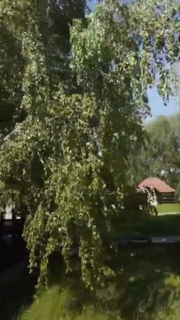27.06.25