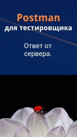 Postman для QA Auto. Ответ от сервера.