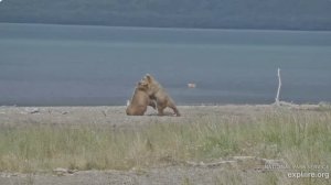 Нарыбачились а теперь и размяться можно- дружеская вольная борьба