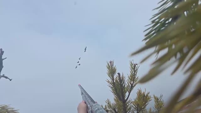 Последний день охоты добыли гусей и трудный выход из болота. смотреть онлайн