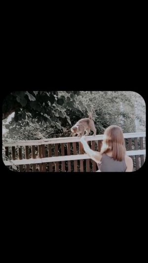 |Узнать больше ты можешь в телеграмм @saltanenko |