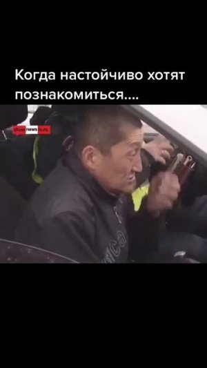 Приколы с животными и не только