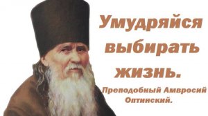 Отношения с ближними. Преподобный Амвросий Оптинский.