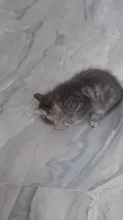 Счастье живет рядом с нами