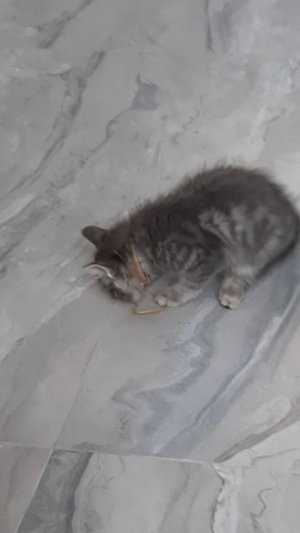 Счастье живет рядом с нами