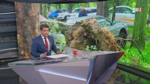 Ярославль приходит в себя после мощного урагана / События на ТВЦ