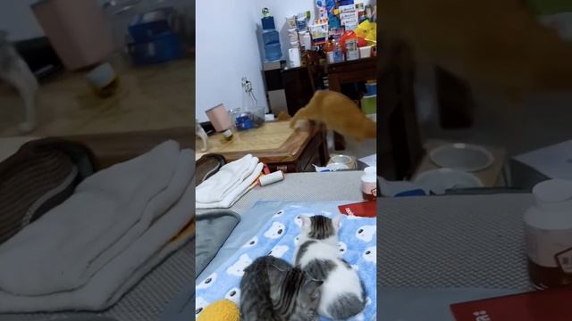1000053450.mp4