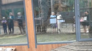 Екатеринбург. Зоопарк на уктусе.