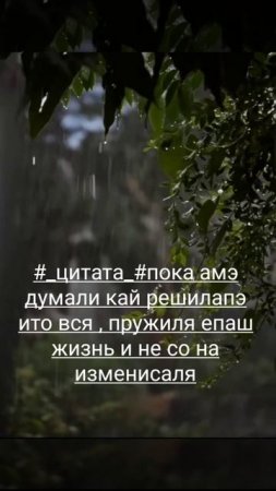 цитата