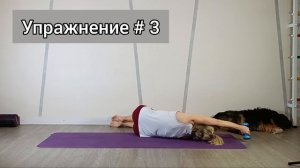 Раскрытие грудного отдела