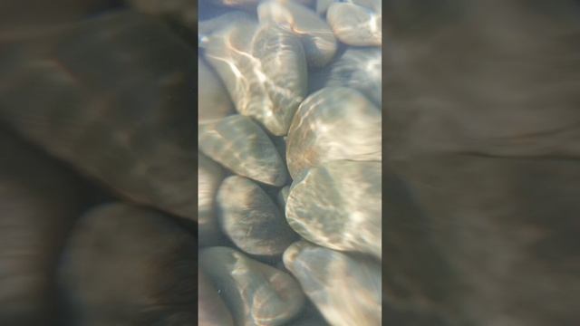 Путешествие на Сапе и вечерняя рыбалка
Видео за вчера