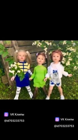 Три девицы у жасмина…