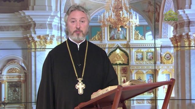 Церковный календарь 9 июля. Преподобный Давид Солунский (Фессалоникийский)