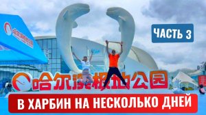 В Харбин на несколько дней. ч.3. Телебашня Дракона. Прогулка по Арбату