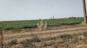 поля Мелитополя