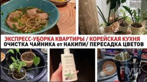 ЭКСПРЕСС-УБОРКА КВАРТИРЫ✅ ОЧИСТКА ЧАЙНИКА от НАКИПИ🔥ДОШЛИ РУКИ до ЦВЕТОВ🥰 НОВОЕ ЗАВЕДЕНИЕ в НИЖНЕМ
