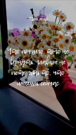 Что прошло, того не вернуть. главное не потерять то, что имеешь сейчас
🌸🌸🌸🌸🌸🌸