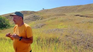 Археология детям