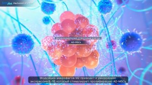 Коллагеностимуляция препаратом Juvelook / Сеть клиник инновационной косметологии GEN87