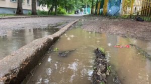 Лето, погода, прогулка под дождем 08-07-2025