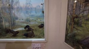 Путешествие по Вологде 2 серия. Посещение музеев, кремлевский парк, резной палисад.