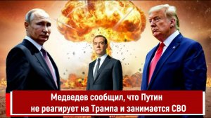 Медведев сообщил, что Путин никак не реагирует на Трампа и занимается СВО
