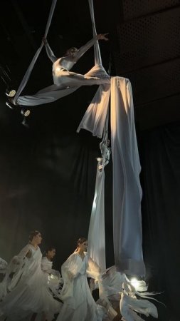Воздушные полотна от Шоу Адреналин