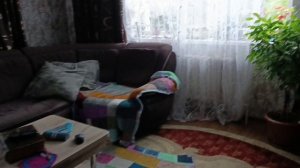 всю ночь гроза