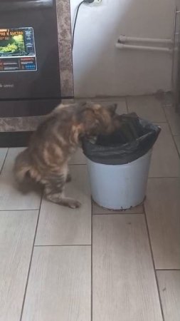 Мей кУн.