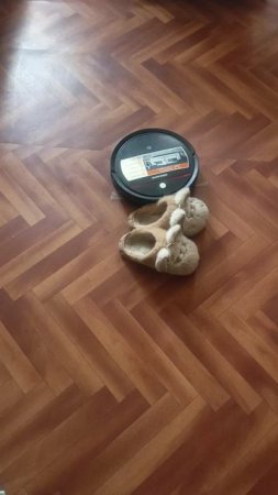 памогатор 🤣