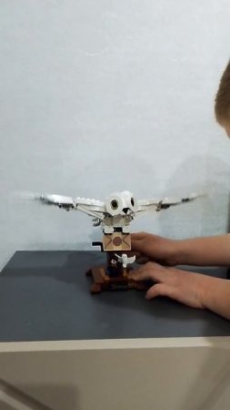 1000095169.mp4