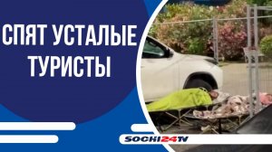 Самый бюджетный вариант размещения найден в Сириусе