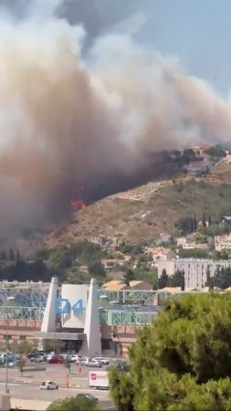 🇫🇷🔥 На юге Франции вспыхнули лесные пожары, огонь быстро распространяется.