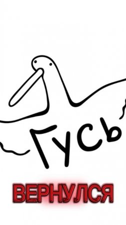 ГУСЬ ВОЗВРАЩАЕТСЯ