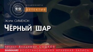 Чёрный шар - Жорж СИМЕНОН (читает Владимир СУШКОВ) | аудиокниги слушать бесплатно онлайн