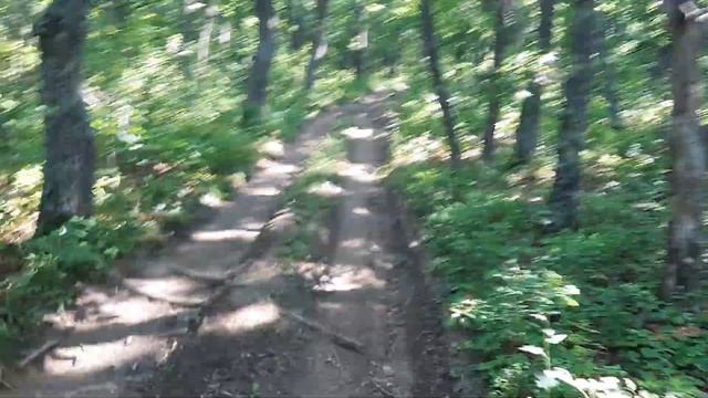 Дорога на дикий пляж. Отпуск июль 2020 года. смотреть онлайн