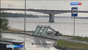 Ветер повалил в Костроме два десятка деревьев и пару автобусных остановок