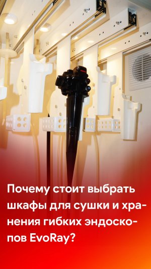 Почему стоит выбрать именно шкафы для сушки и хранения эндоскопов EvoRay?
