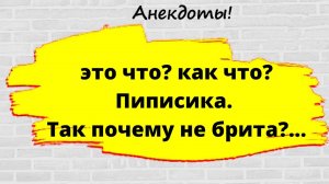 ВАТСОН Поковырялся трубкой ХОМСА у себя в  отверстии ..❗ Идиотские Анекдоты без слез