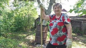 Огород, соседка, Июльский рынок, цены.