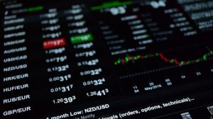 Простота интерфейса платформы Catorix Limited глазами новичка