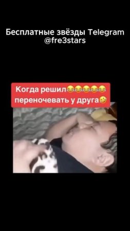 @fre3stars Бесплатные звёзды и подарки в телеграм #мемы #смешно #мем #угар #тг #телеграм #telegram #