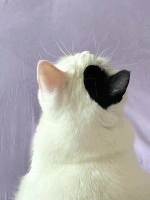 Подпишись 👉 https://vk.com/ykrasheniy_iz_kamny
