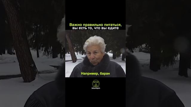 Здоровье начинается с тарелки