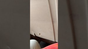 поездка на маршруте 319  1 часть