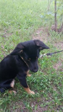 Альфа ругается на слово "хулиганка"
