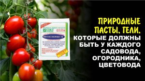 Всё, что вы хотели знать об полезных пасте-геле Фитоспорине! Восемь главных ответов. Д. Скотников