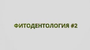 Фитодентология #2. Приготовление и свойства Фитодент. 2022