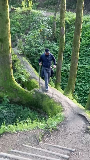 Ботанический сад в Батуми